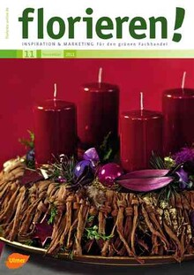 Cover florieren 11/2011