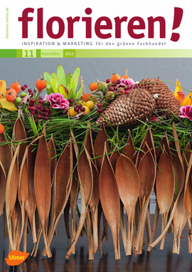 Cover florieren 11/2012