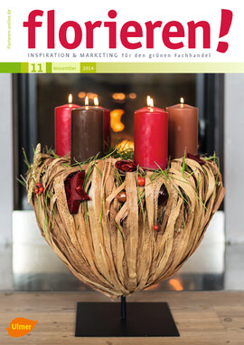 Cover florieren 11/2014