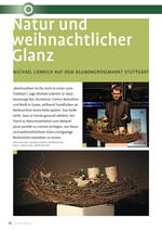 Natur und weihnachtlicher Glanz