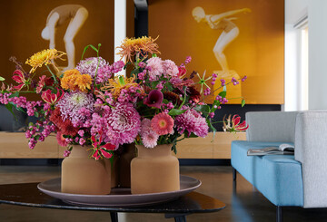 Die Chrysantheme stammt ursprnglich aus China und Japan.
