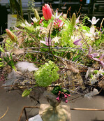 Strauß von Andrea Götz.