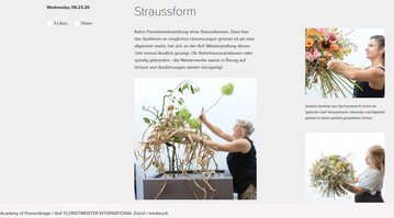Meisteraussstellung der AoF steht online.