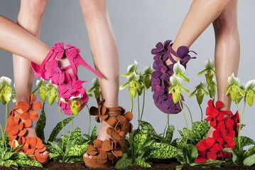 Art-of-life-Schuh