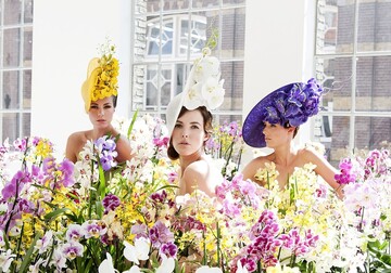 Hut-Designer Philip Treacy stellte in Amsterdam seine Orchideen-Hut-Kollektion vor.
