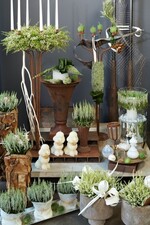 Heide bietet unzählige Möglichkeiten für Dekoration und RPräsentation.