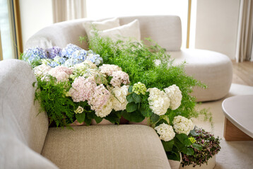 Gentle Paradox ist einer von vier Horticulture Trends 2024