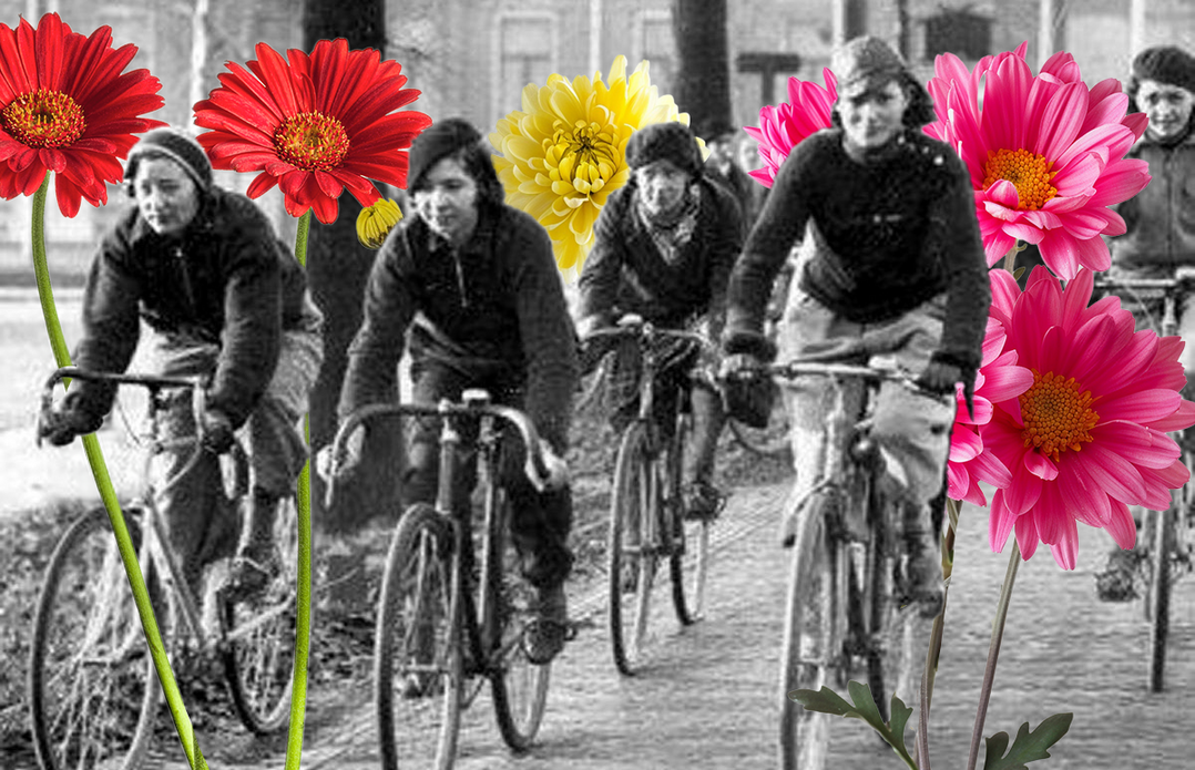 Zum Auftakt der Tour de France Femmes erinnert ein 1.000 m² großes Blumenmosaik an die Pionierin des Frauenradsports Mien van Bree. <br>