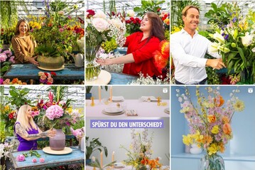 Ausschnitt der Instagram-Seite<br>