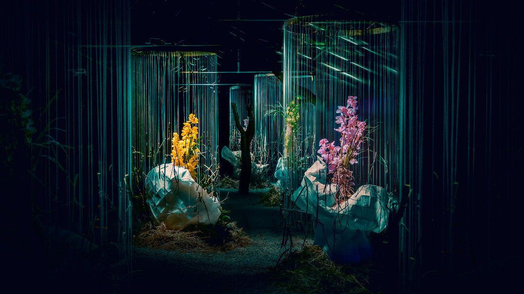 Vegetative Installation von Bernhard Weimar.