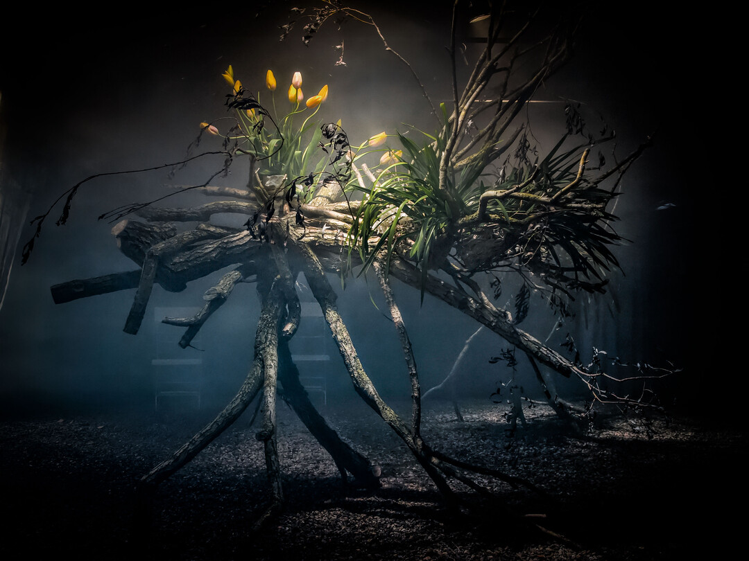 Vegetative Installation von Bernhard Weimar.