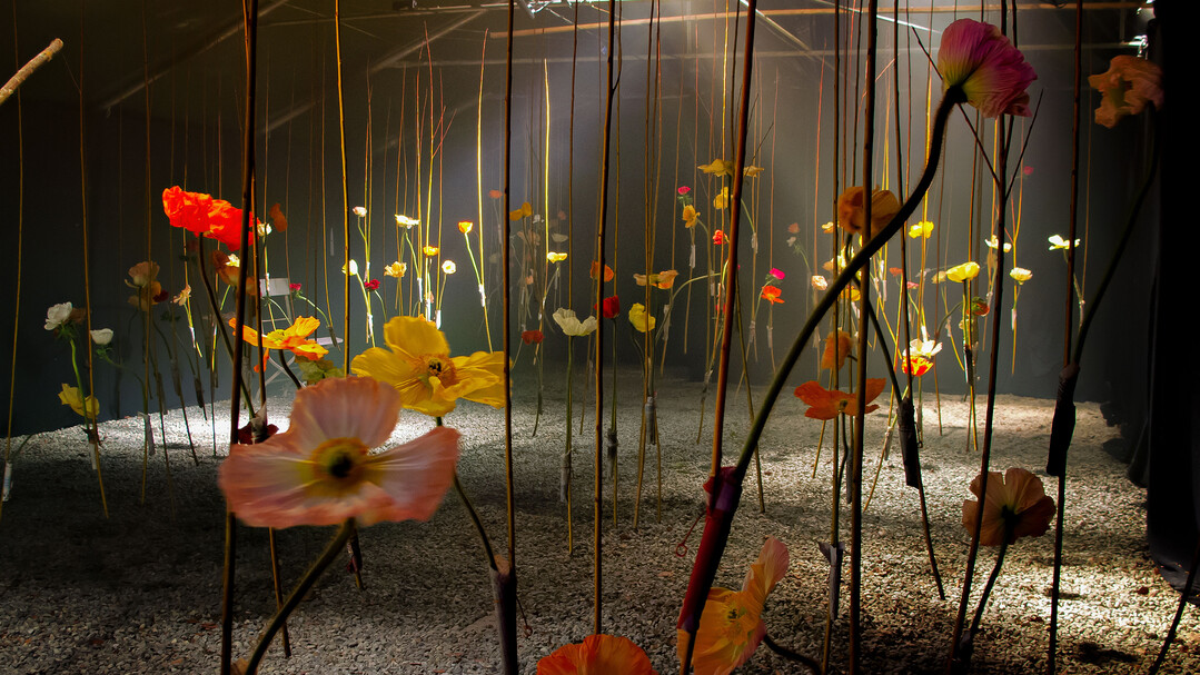 Vegetative Installation von Bernhard Weimar.