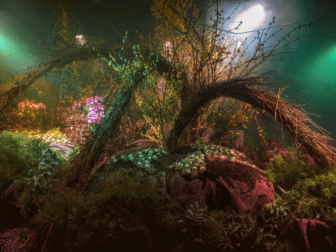 Vegetative Installation von Bernhard Weimar.