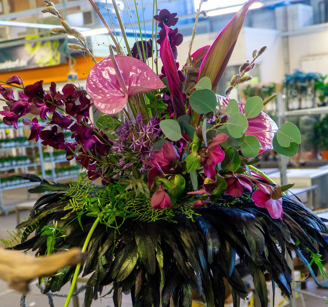 Mystisch in Schwarz und Violett