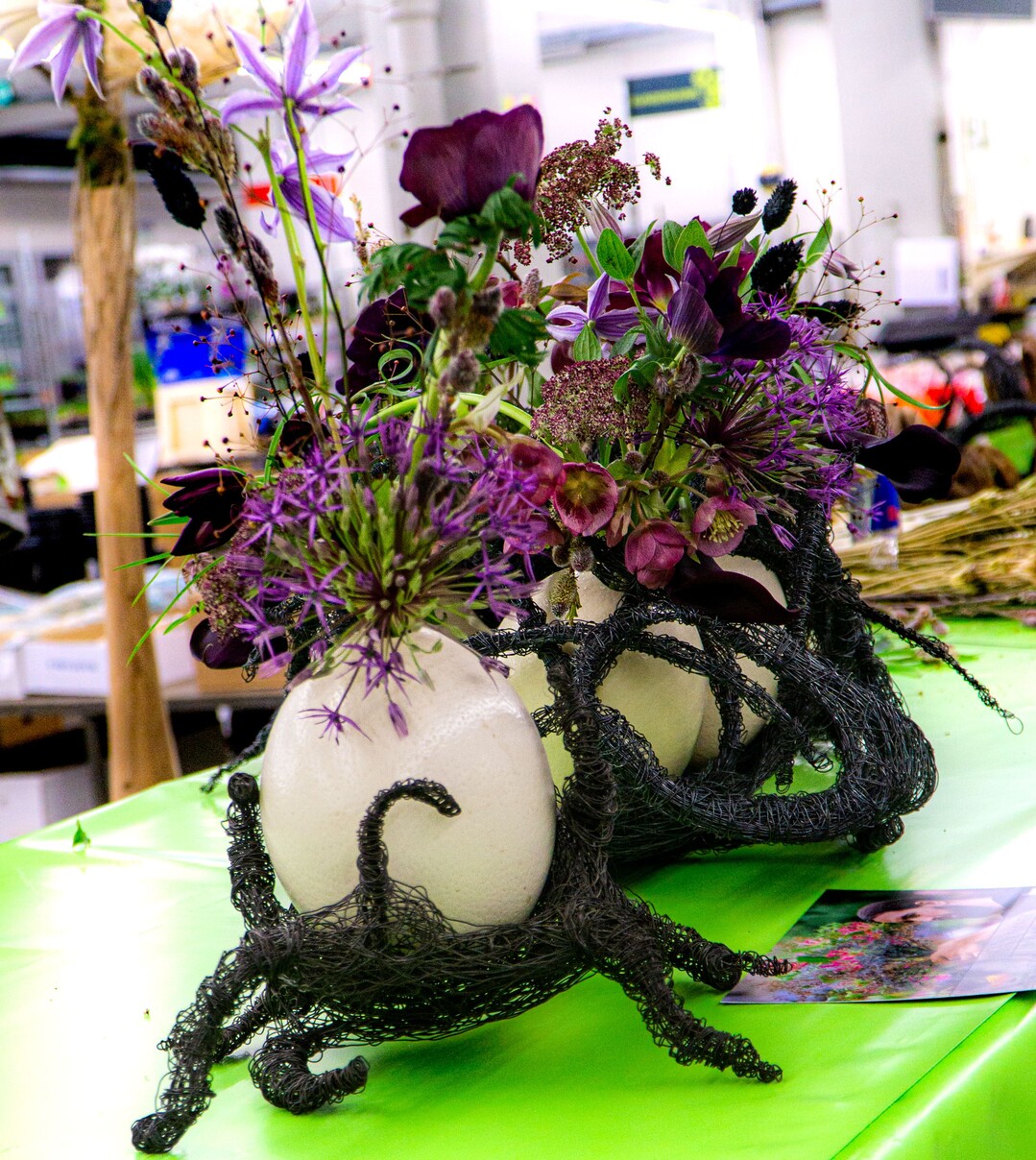 Mystisch in Schwarz und Violett