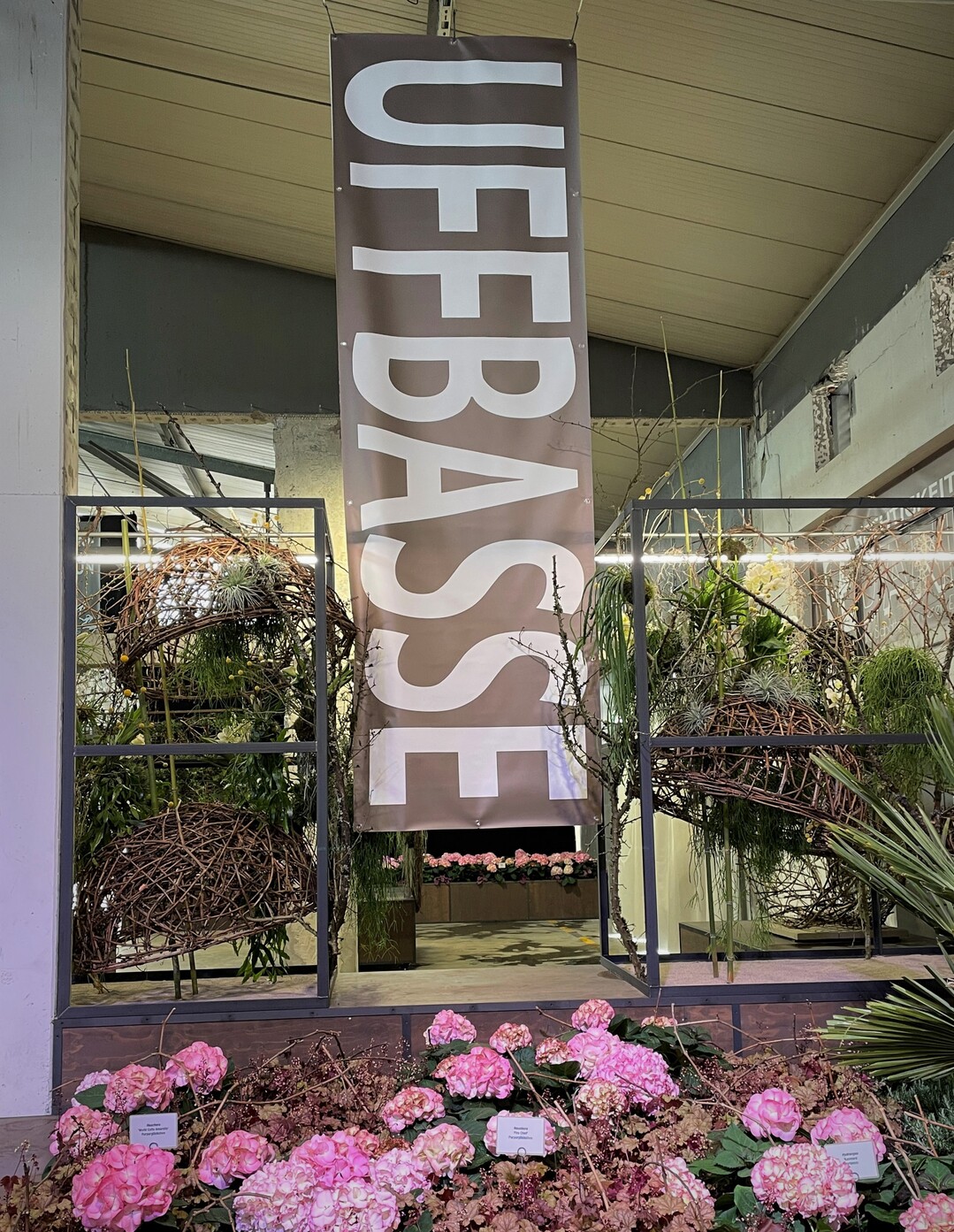 Gestaltung der Halle mit Schriftzgen
