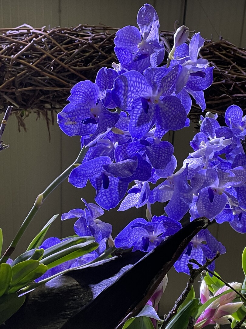 Florale Arrangements mit Orchideen