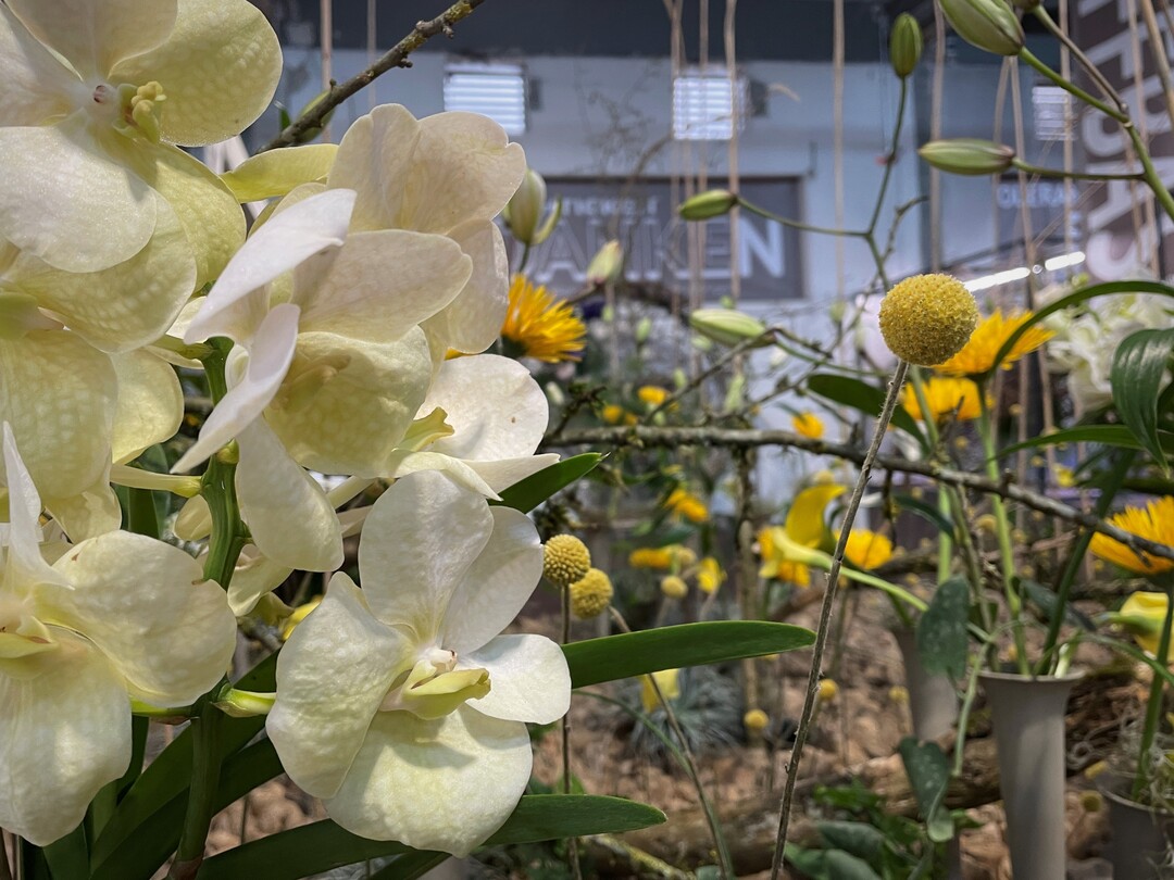 Florale Arrangements mit Orchideen