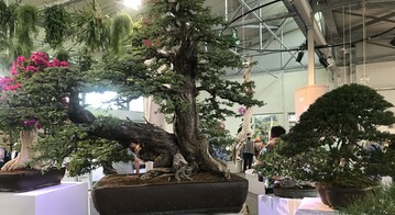 Blick in die Halle