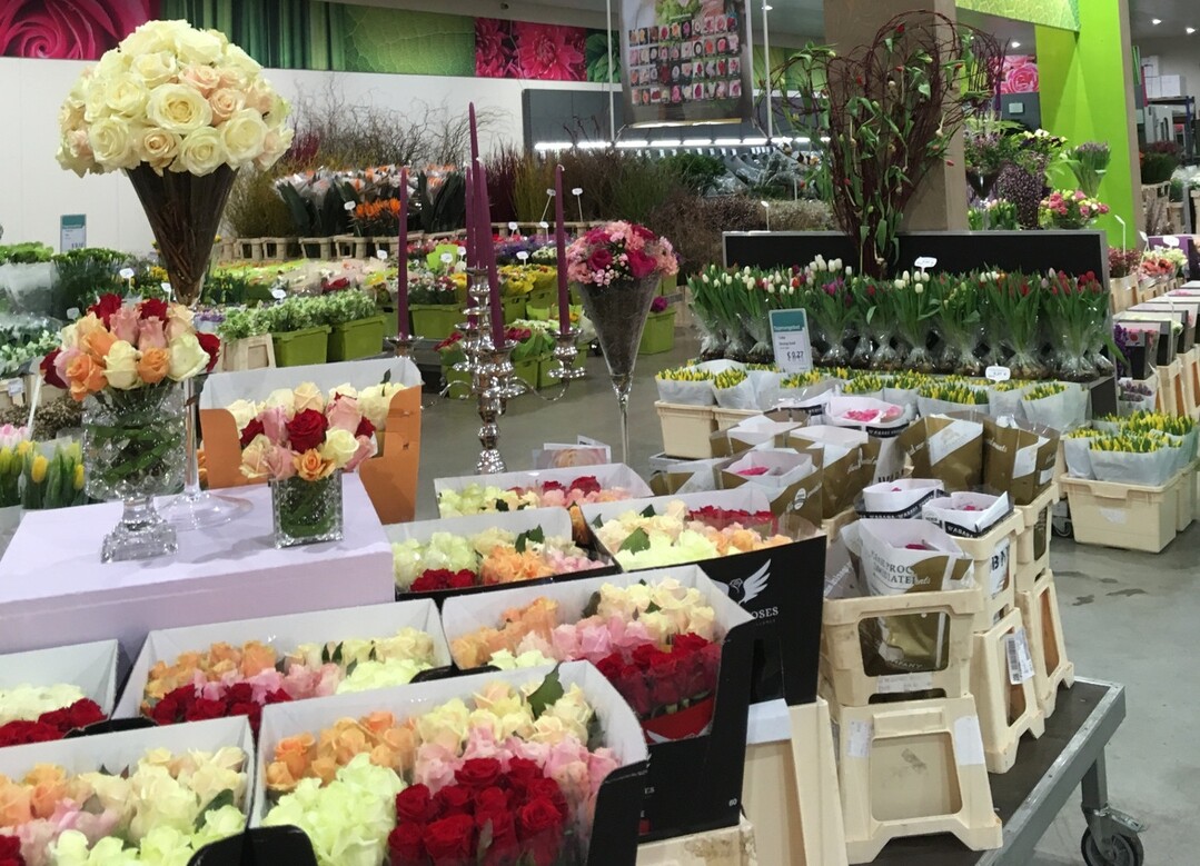 Besonderheiten verspricht die neue Produktlinie "Premium Flowers".