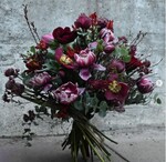 Die Gewinnerin der Februar-Challenge: Anina Bigl