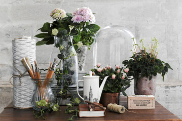Botanical Renaissance