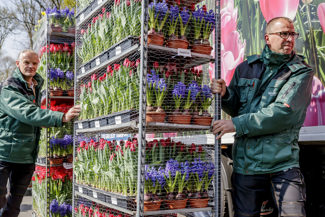 Blumen gut verpackt auf CC-Wagen.
