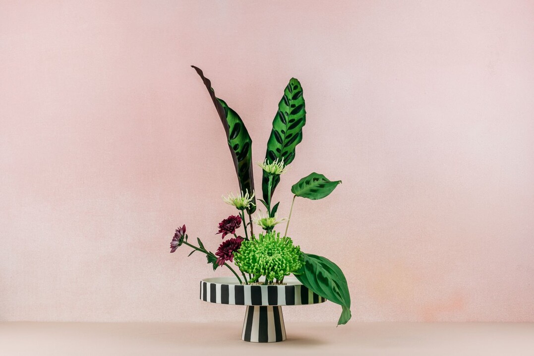 Chrysantheme als modernes Ikebana