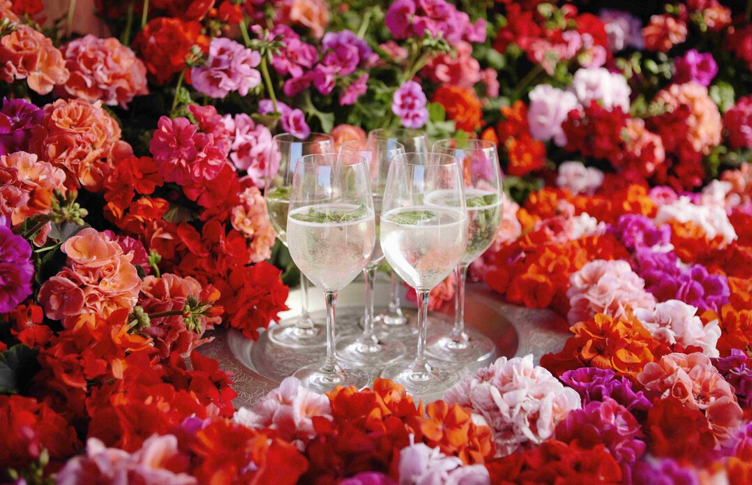   Summer Vibrance