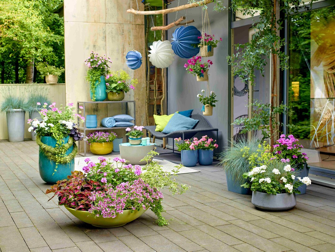 Summer Vibrance
