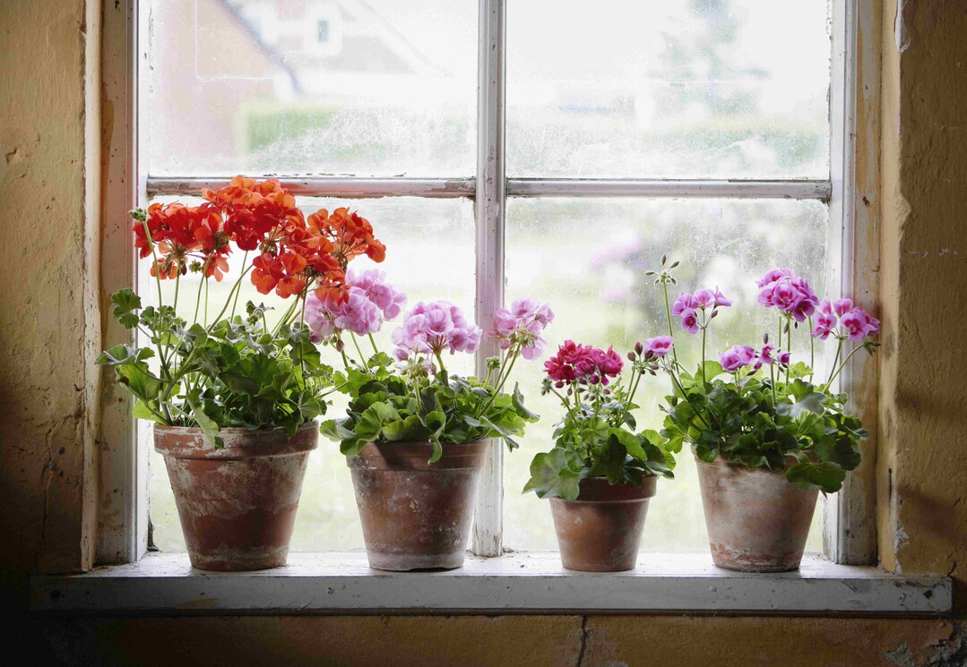  Boho Country Living 