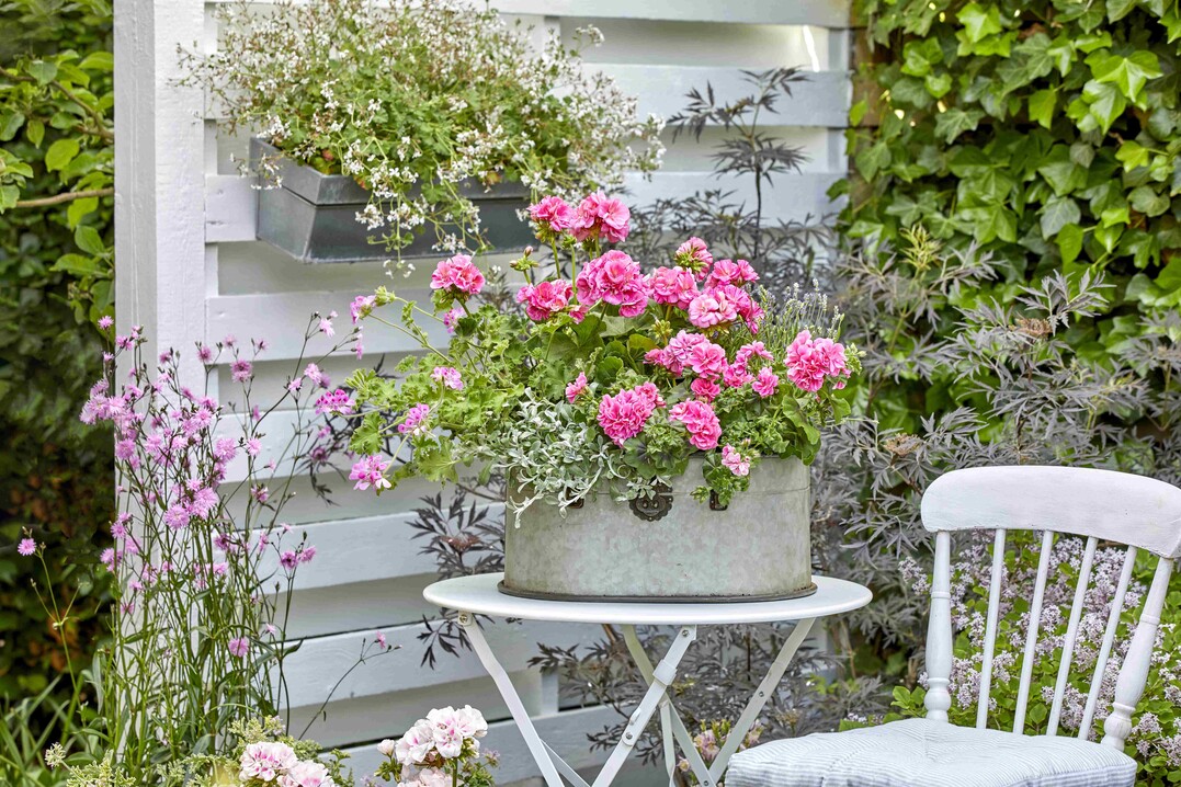    Romantic Garden Corners 