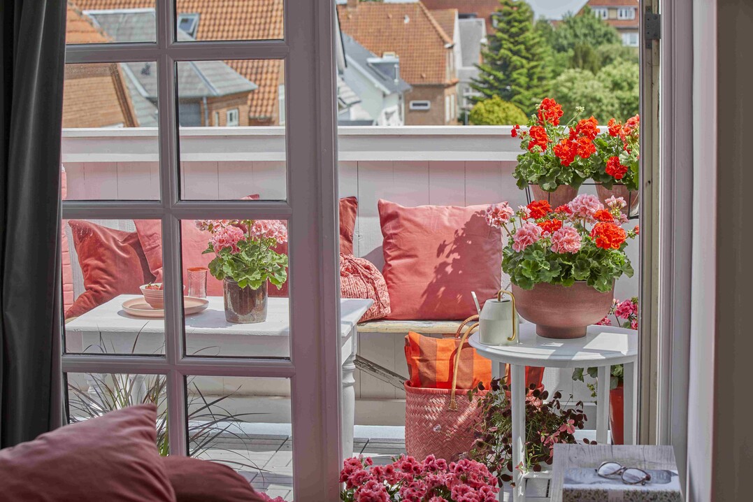    Floral Morning Moments 
