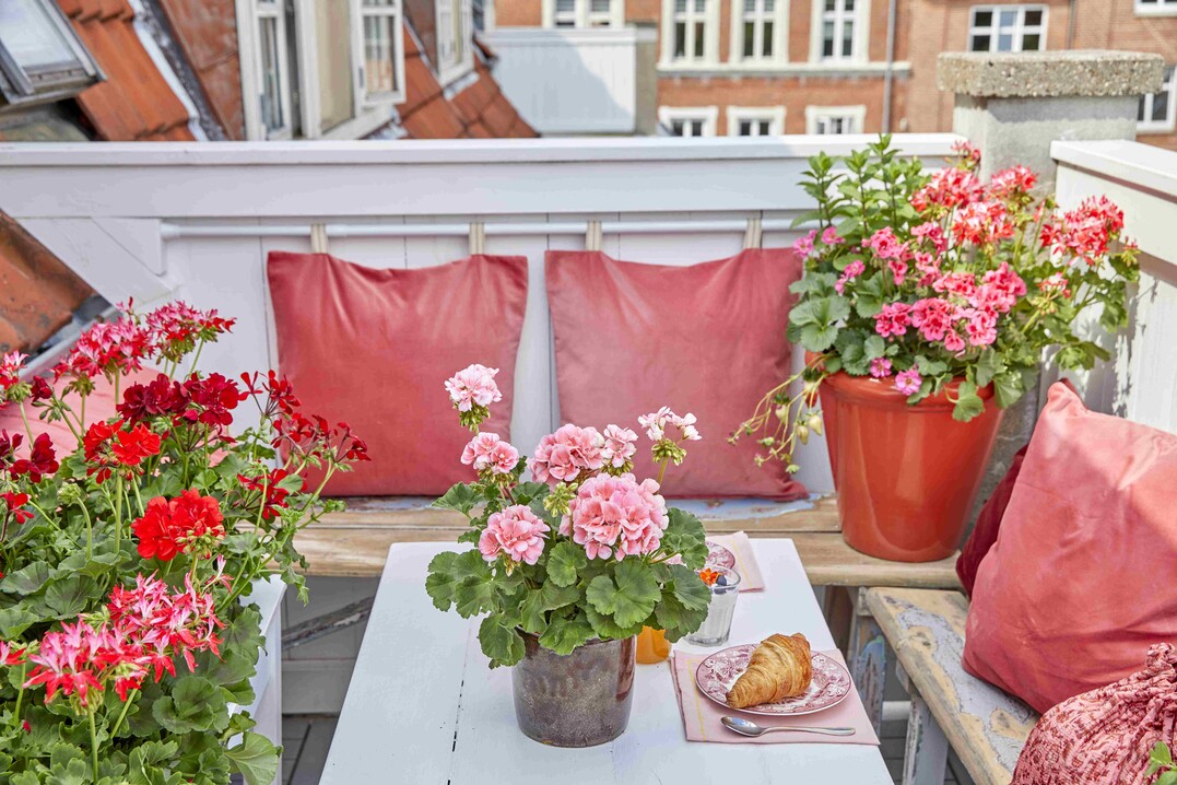    Floral Morning Moments 