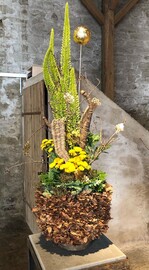 Folgt uns – auf den Spuren der Eppinger Linien