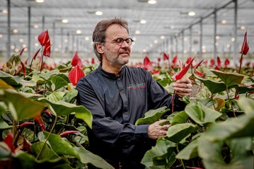 Meisterflorist Paul Deckers whlt seit 1988 den Blumenschmuck fr die Osterfeierlichkeiten im Vatikan aus. 