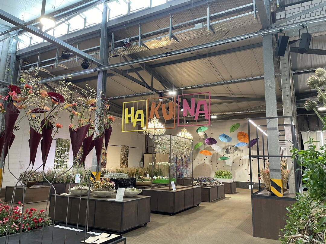 Impressionen der Hallenschau Hakuna Matata