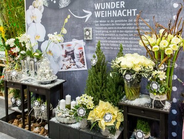 Auf der IPM 2017 wurde gezeigt, wie das Konzept umgesetzt werden kann.
