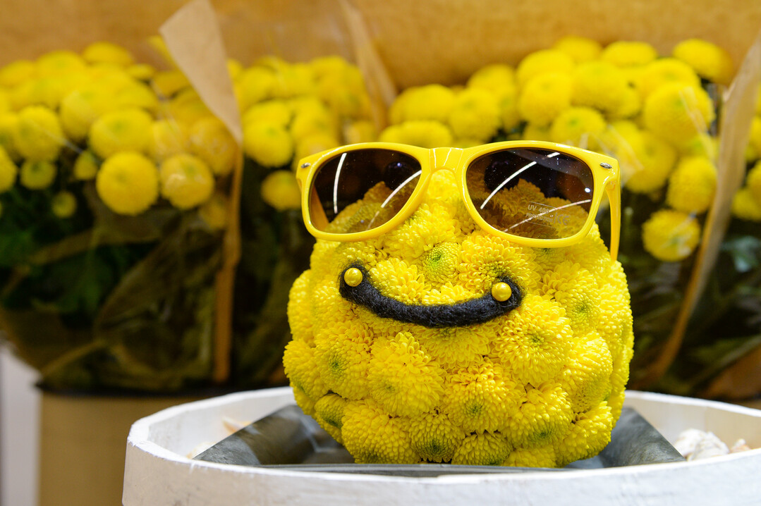 Blumige Stimmungsmacher und neue Verkaufsideen für Trend-Pflanzen waren auf der Premiere der Floradecora gefragt.