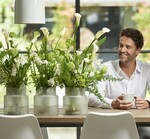 Callas sind stylische Hingucker. In der Blumensprache steht die Blume für Bewunderung.