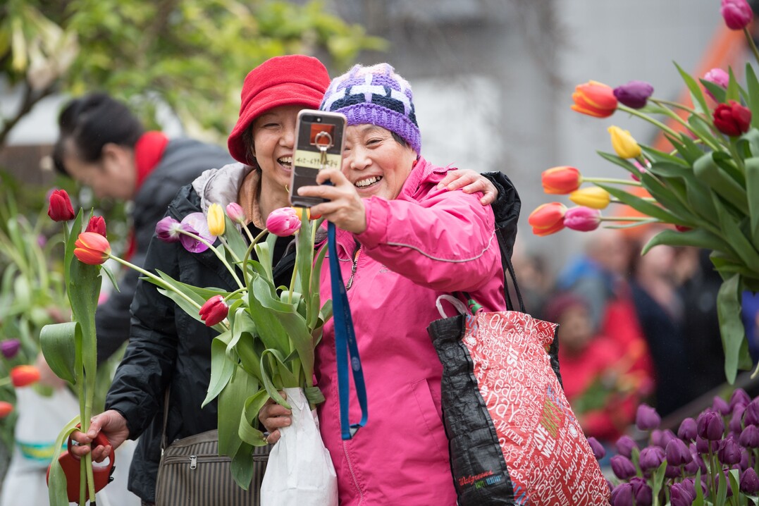 Der Nationale Tulpentag ist ein Fest für alle Amsterdamer und Touristen.
