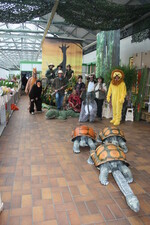 Voller Einsatz für die Südafrika-Wochen in Dresden.