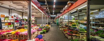  Vergleich der alten Leuchtstofflampenbeleuchtung mit der neuen LED-Beleuchtung. 