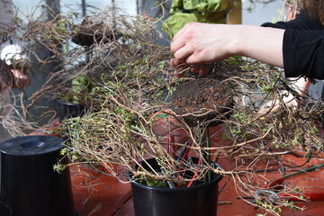 Den Keep on Technik Tag der Floristmeisterschule Hohenheim und des FDF, LV Baden-Wrttemberg konnten die Teilnehmer nutzen, um sich ber den dualen Meisterlehrgang zu informieren.