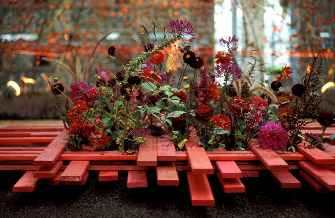 Die Sommerblumen werden die Besucher der Blumenhalle vom 19. Juli bis zum 1. August erfreuen.