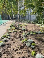 ...und dort auch gleich eingepflanzt.