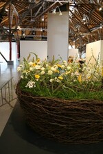 Die Interpretation eines Zitats von Tahar Ben Jelloun: "Jedes Gesicht ist ein Wunder. Es ist einzigartig. was bedeutet schon Schönheit und Hässlichkeit? - Jedes Gesicht ist ein Symbol des Lebens."