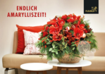 Die Amaryllis-Kampagne 2021 war sehr erfolgreich.