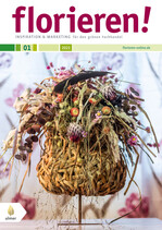 In der Januar-Ausgabe zeigt Annette Kamping Trockenfloristik