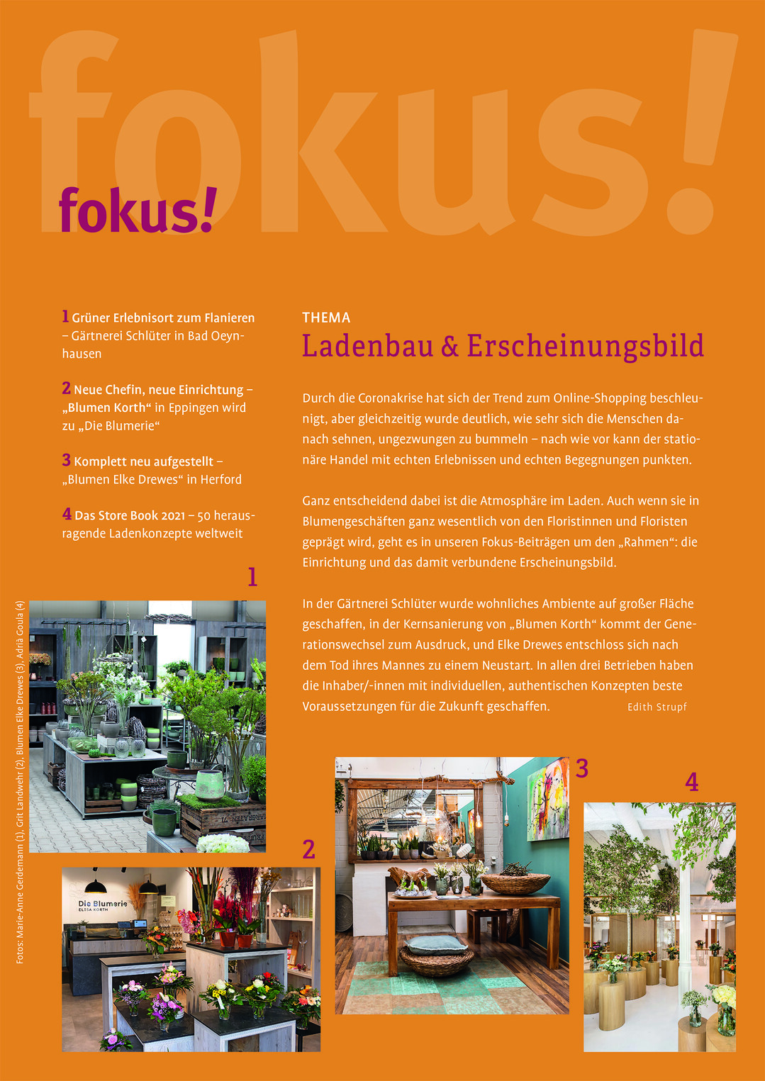 Unser Fokus-Thema im Juni: "Ladenbau & Erscheinungsbild"